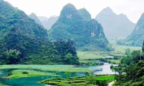今天,一起走近广西那些有着神仙颜值的"地球之肾"……_湿地