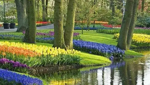 景观设计中园林植物的色彩美