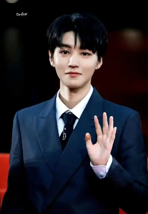 王俊凯红毯全身镜头