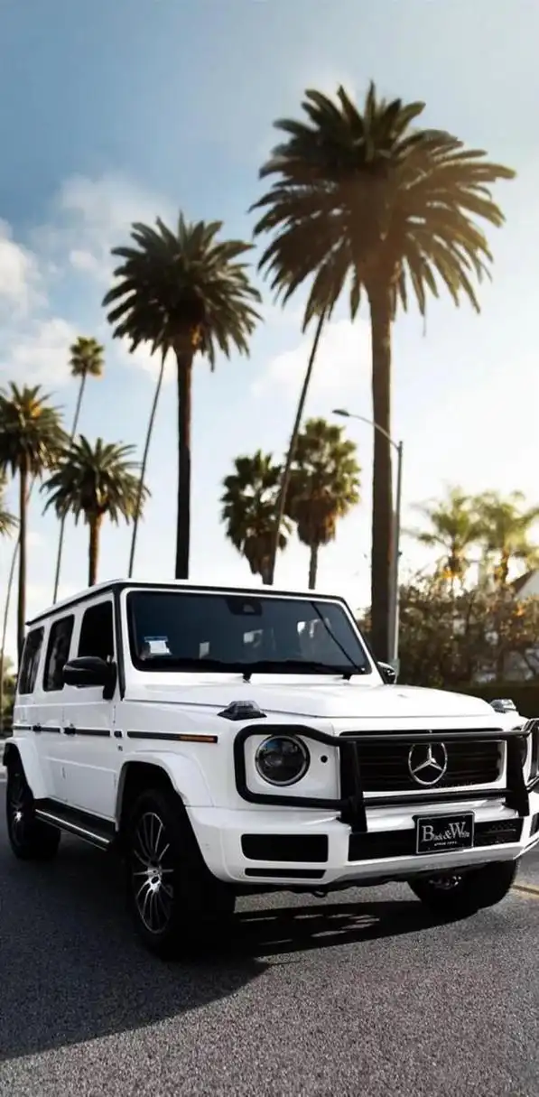 硬派越野中的王者,奔驰大g高清壁纸