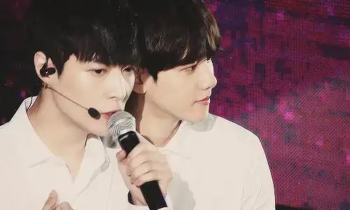 边伯贤 张艺兴 exo