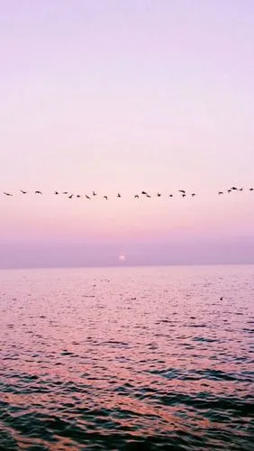 qq唯美意境背景皮肤