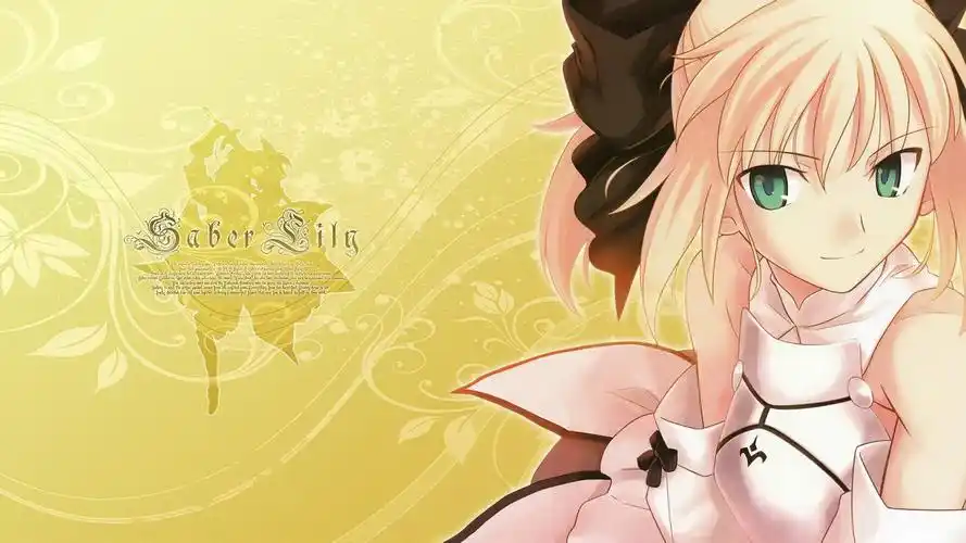 saber亚瑟王高清宽屏壁纸