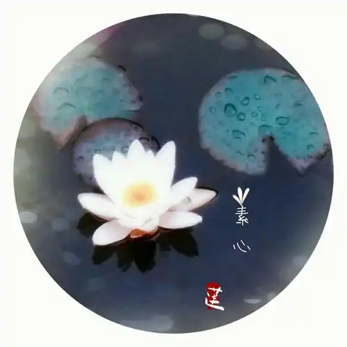 修一朵超尘的莲