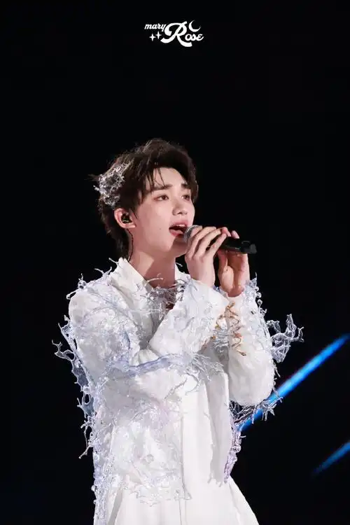 丁程鑫演唱会舞台饭拍