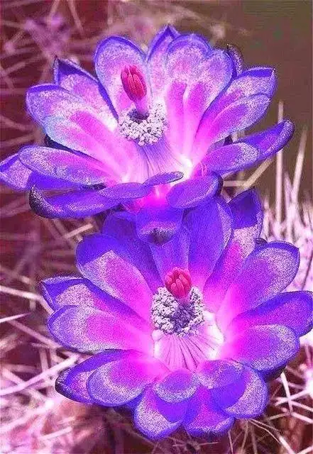 441_640竖版 竖屏