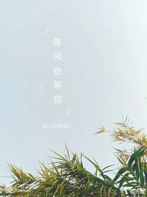 等风也等你by冼皌