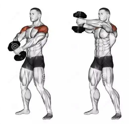 健身丨常规肩部训练图解