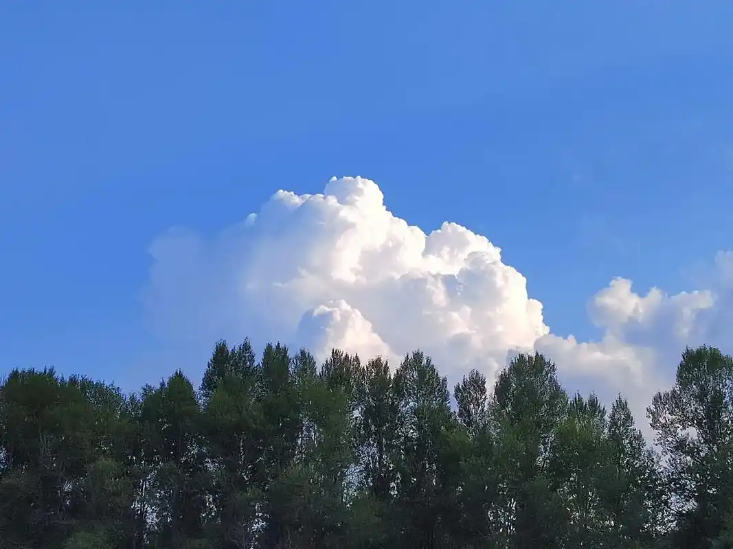 可以分享一张你手机里的云朵照片吗#随手拍天空  - 抖音