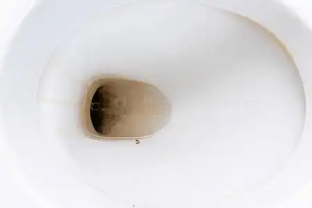 凌乱的卫生间公共卫生间的脏的不卫生的马桶有石灰垢污渍照片