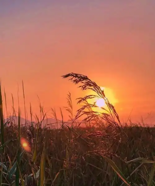 本文关键词:夕阳下的你图片,好看背景图夕阳,好看的背景图片,有你们的