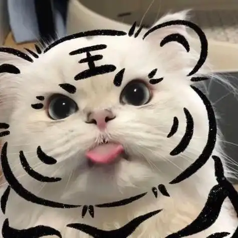 好看的萌头像简约动物头像图片 动物头像图片大全 -【爱个性】