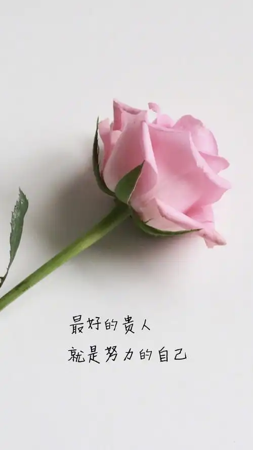 励志文字语录手机壁纸_文字图文手机壁纸_三千图片网