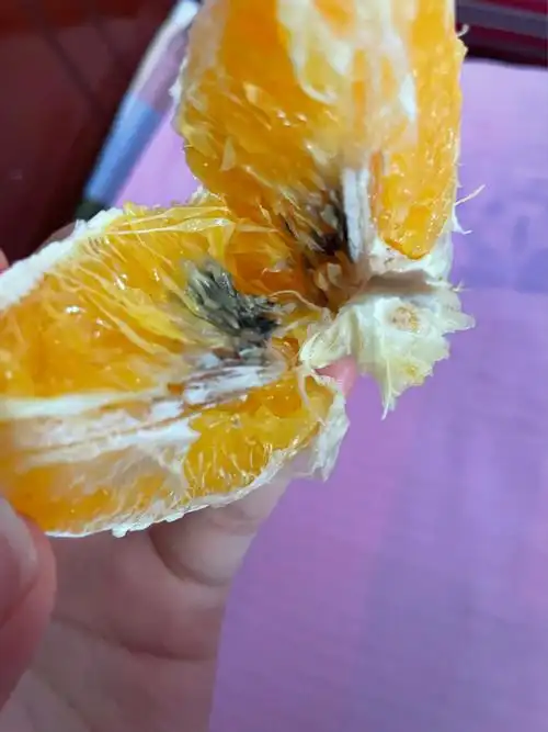 小6买菜我买不起一个橙子