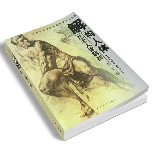 解构人体艺用人体解剖素描速写绘画人体结构教学中央美术学院入门基础