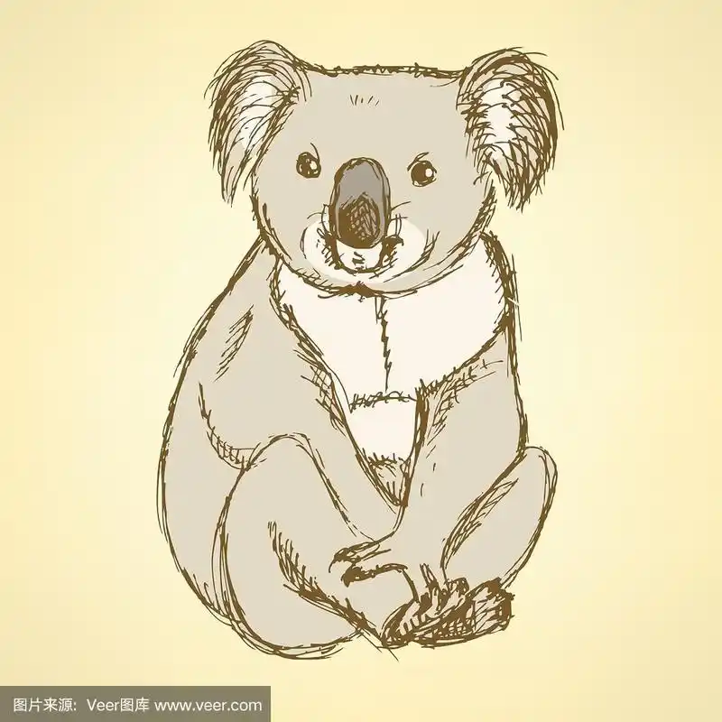 素描可爱的树袋熊在复古风格