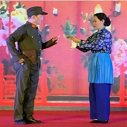 阿庆嫂百褶围裙京剧沙家浜智斗表演服村姑演出服胡传魁刁德一