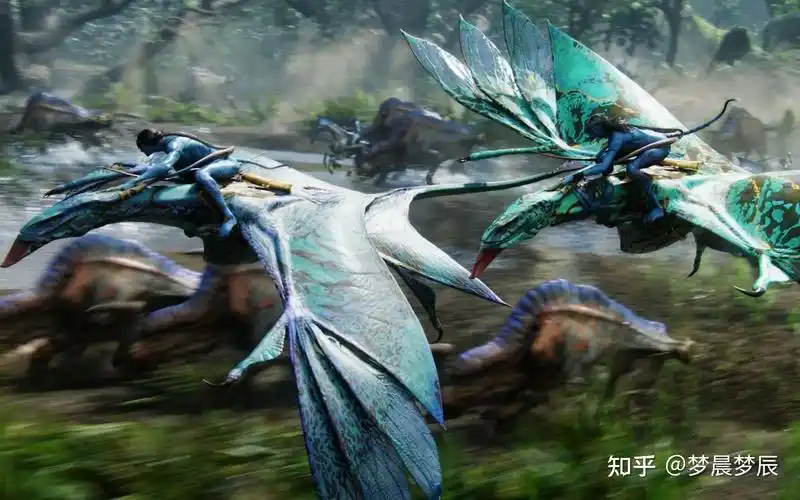 阿凡达魅影骑士抒情诗般的视觉奇观