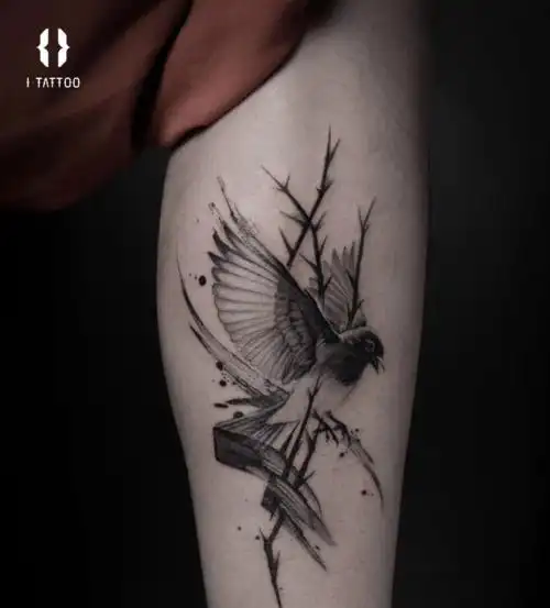 672021年tdl纹身学院招生简章