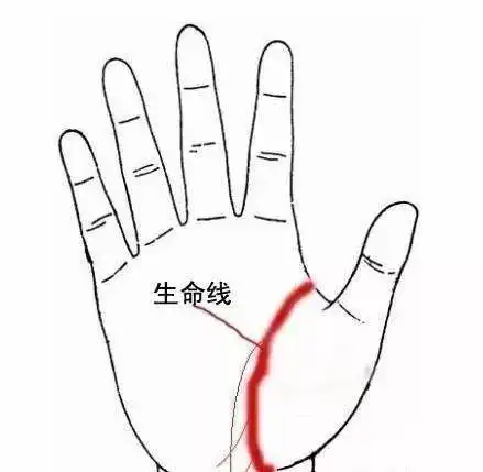 手掌生命线真的能决定寿命吗?