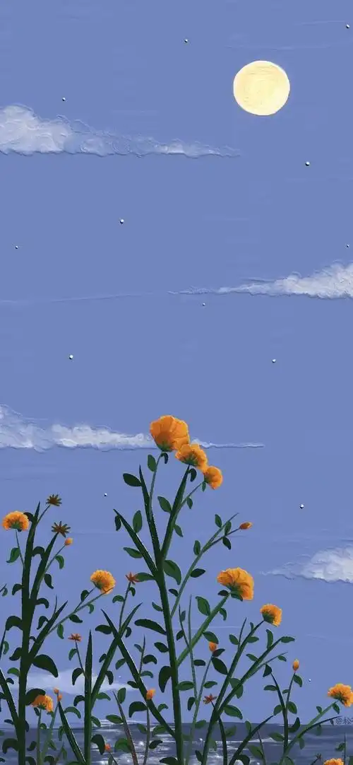 好看的壁纸配好看的你