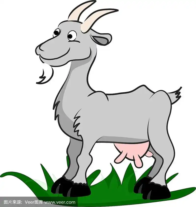 卡通山羊