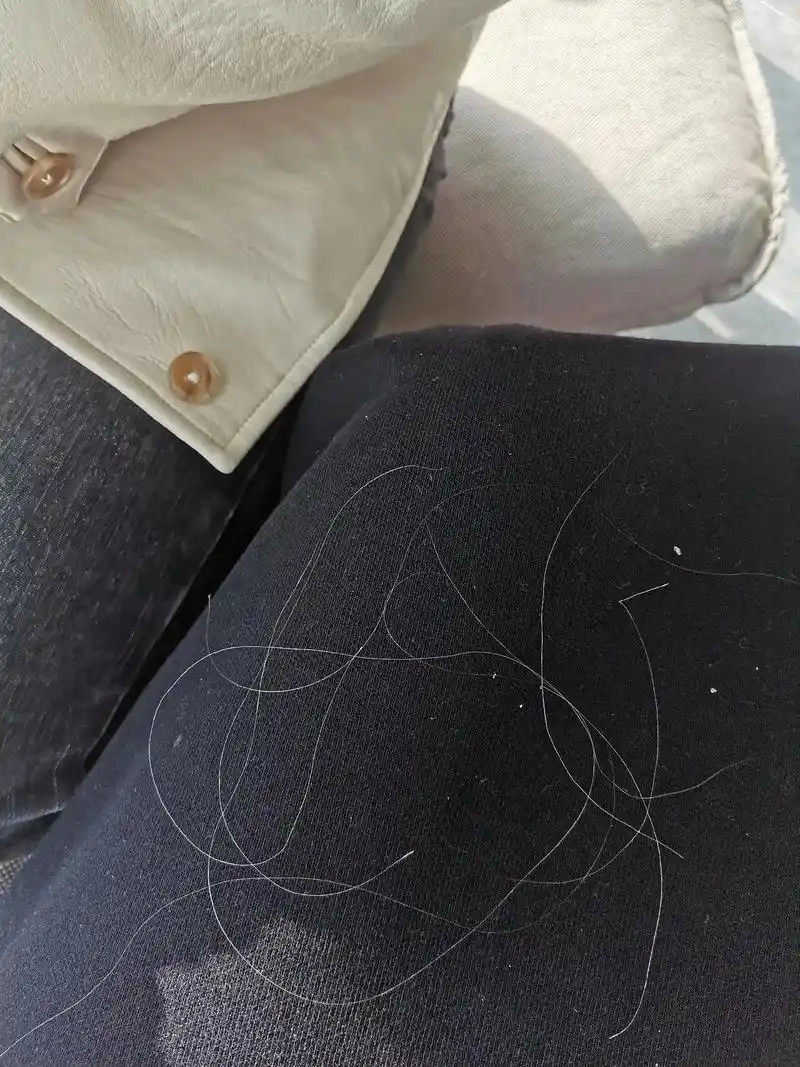 去年一根白发没有呢,今年突然涨出来好多白发,心里有点难受,接 - 抖音