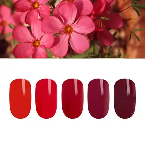 出挑高调绯红色0629加入购物车