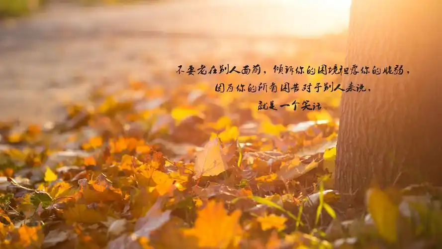 对现实生活失望的说说图片