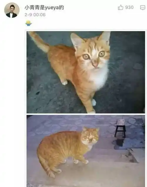 529_672竖版 竖屏