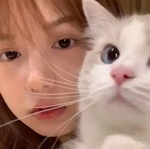 求图小红书同款头像