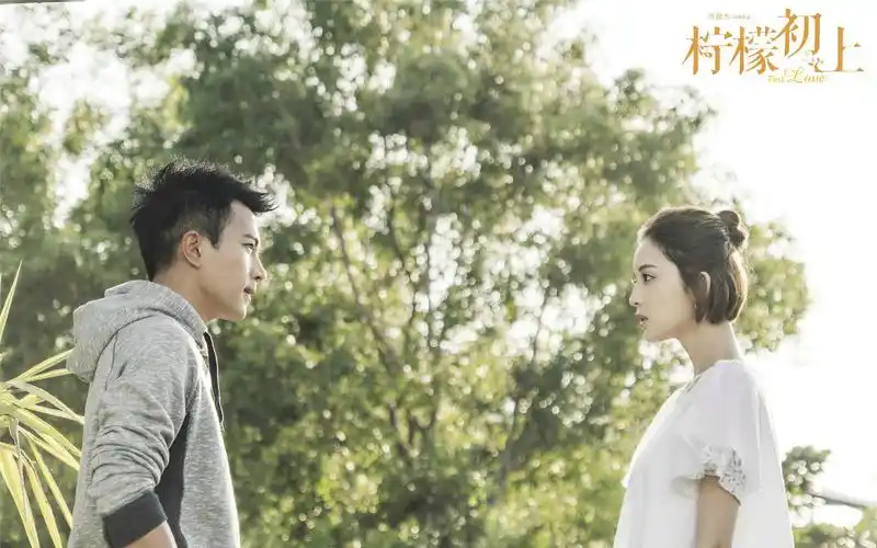 《柠檬初上》电视剧剧照图片桌面壁纸