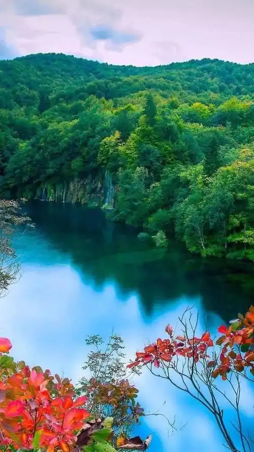 700_1244竖版 竖屏