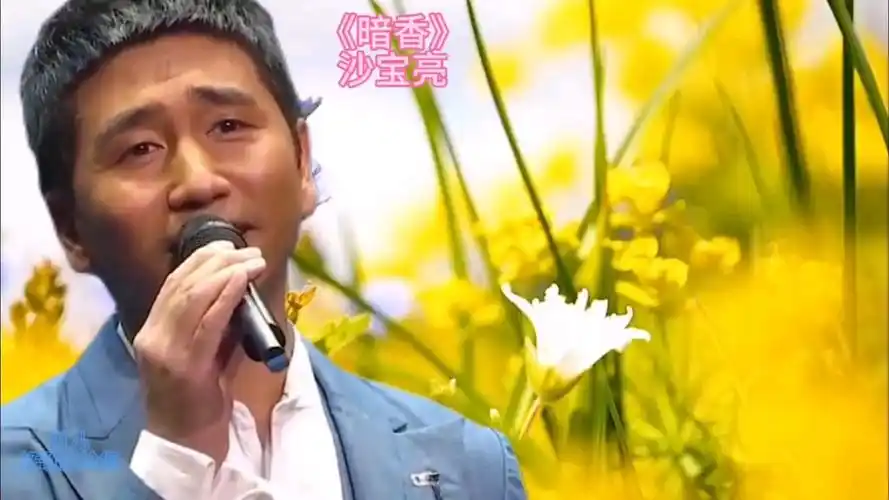 沙宝亮《暗香》是金粉世界主题曲,沙宝亮成名曲,太好听了