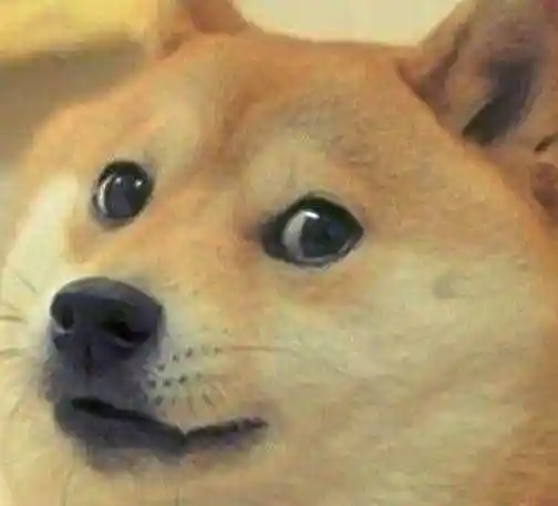 b站是什么意思b站如何看审核进度