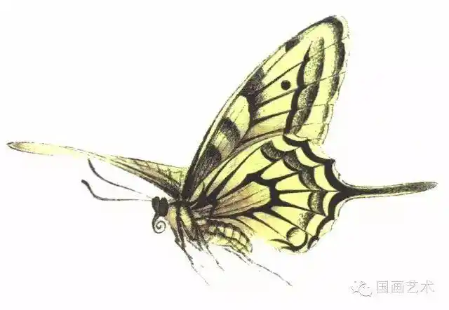 图文教程李晓明工笔蝴蝶设色步骤示范一