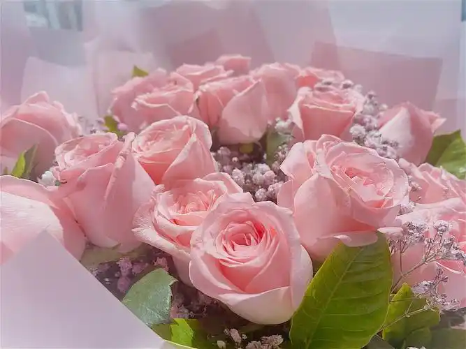 520收到的一束匿名者送的花不知道是什么玫瑰