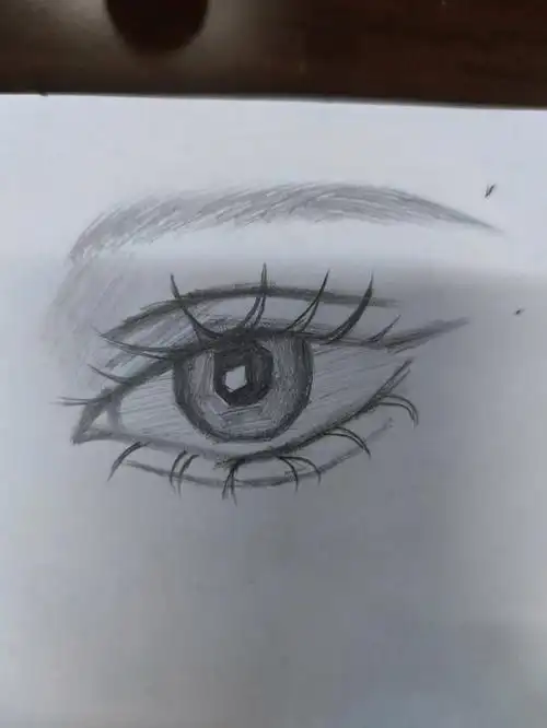 零基础学画画第二天day2