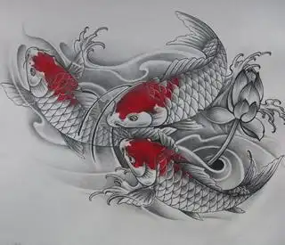 莲花手稿鲤鱼手稿一款漂亮的鲤鱼莲花纹身手稿tag标签:招财猫手稿鲤鱼