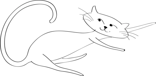 可爱的猫咪图片大全