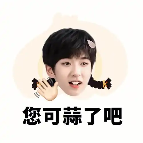 贺峻霖表情包
