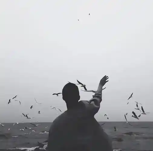 用这6种微信头像的男生都是渣男尤其第3种赶紧拉黑