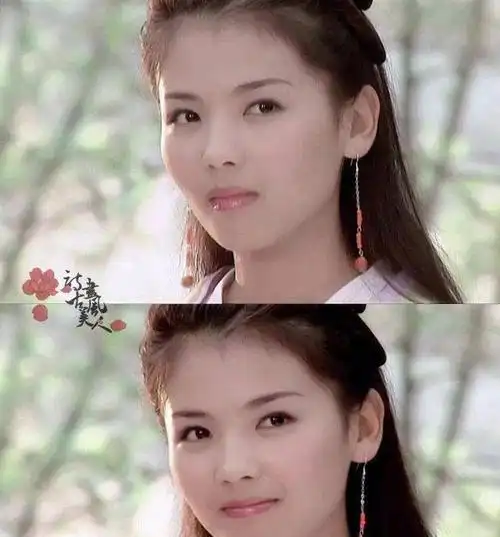 在《天龙八部》中,刘涛出演的角色阿朱给观众留下了深刻的印象.