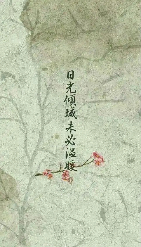 菩提树下,醉清风