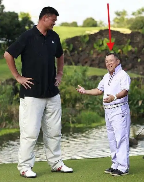 王宝强身高1米65,王祖蓝1米63,曾志伟1米6,他1米5