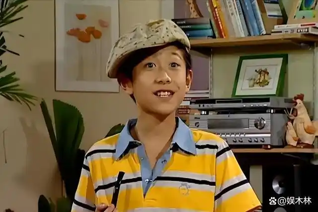 重温《家有儿女》,才懂刘星家有钱,但有个"东西"很多家庭没有