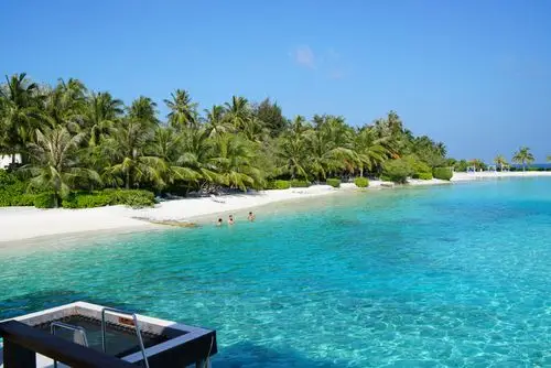 阳光沙滩海浪椰子树清新的空气和愉快的心情!