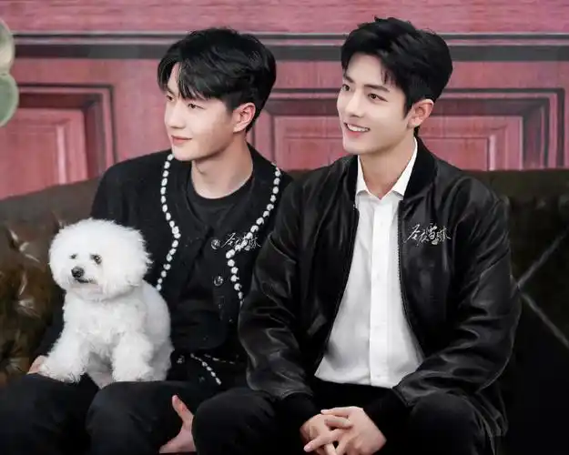 cp粉p的肖战和王一博