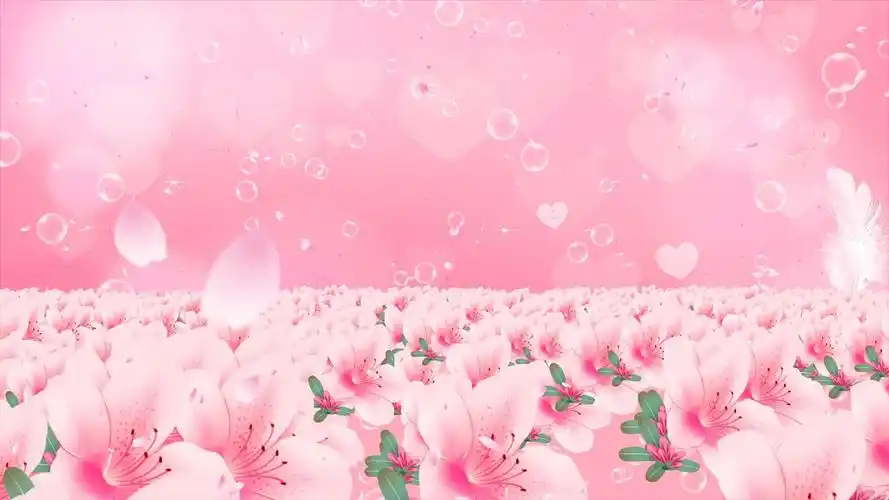 4k唯美粉色背景唯美粉色视频背景