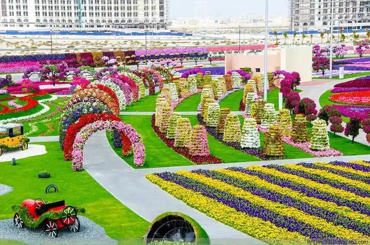 【绝美景色】超级漂亮 迪拜的景观花园